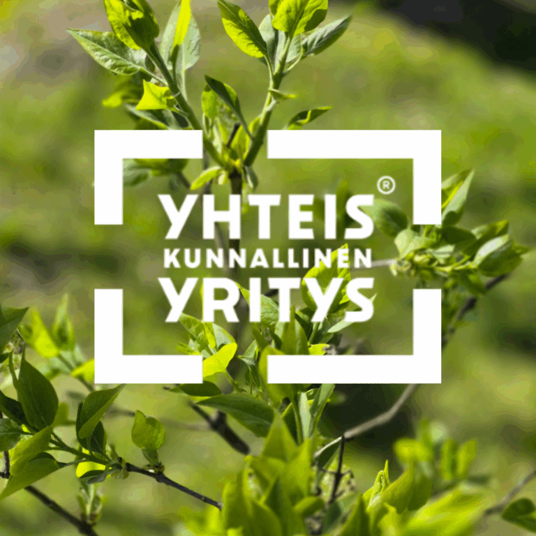 Yhteiskunnalliset yritykset – puuhastelua vai vaikuttavaa bisnestä?